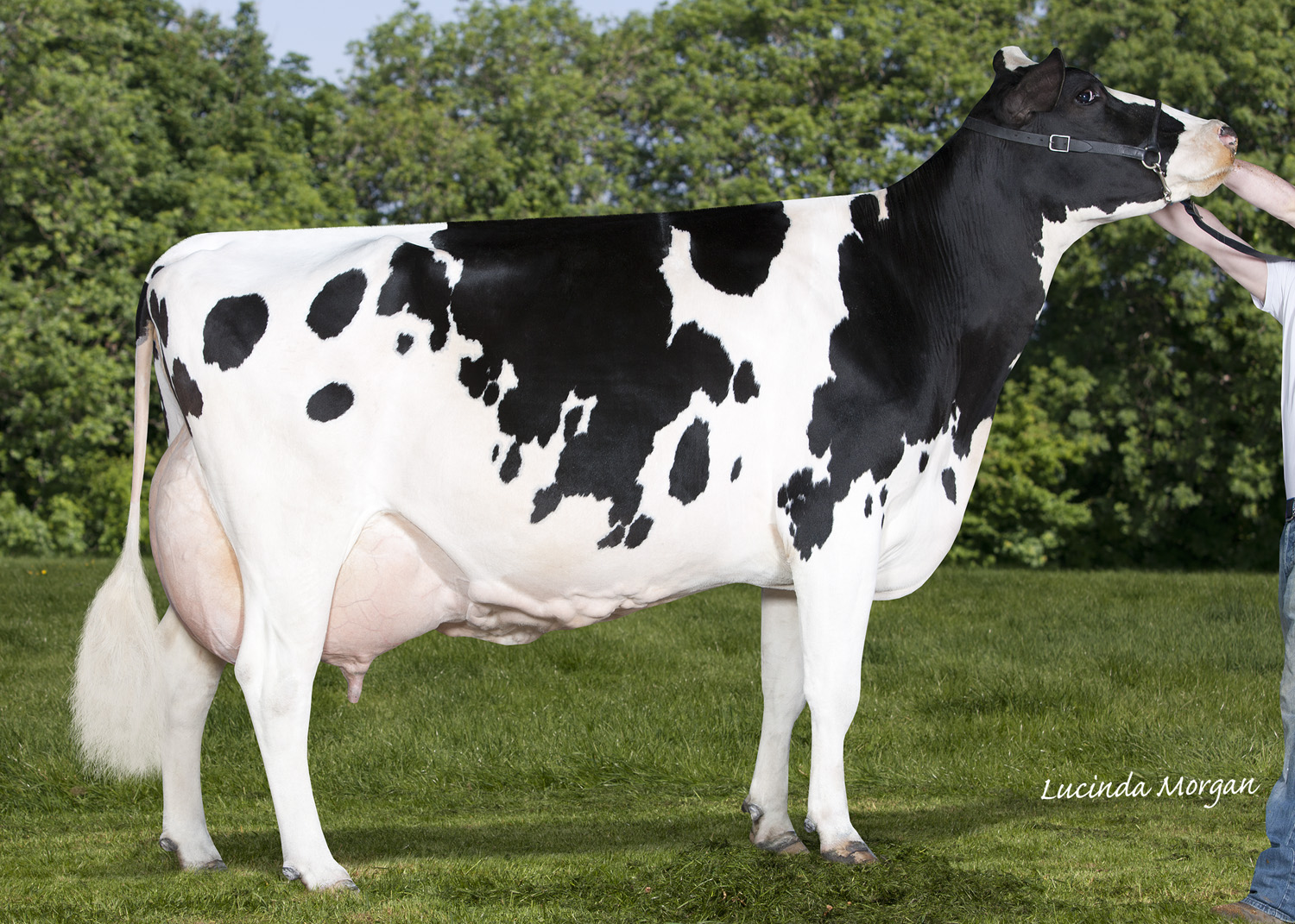 LM110405 05 Huddlestone Outside Lisa 1